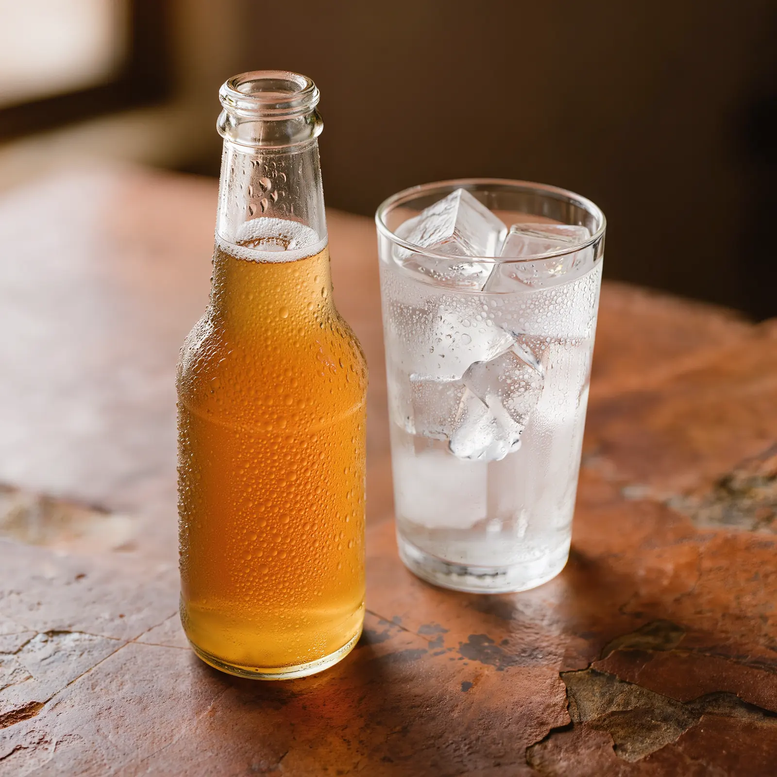Kombucha 33 cl